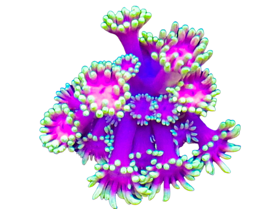 347430596 717013780435047 846897509152807822 n