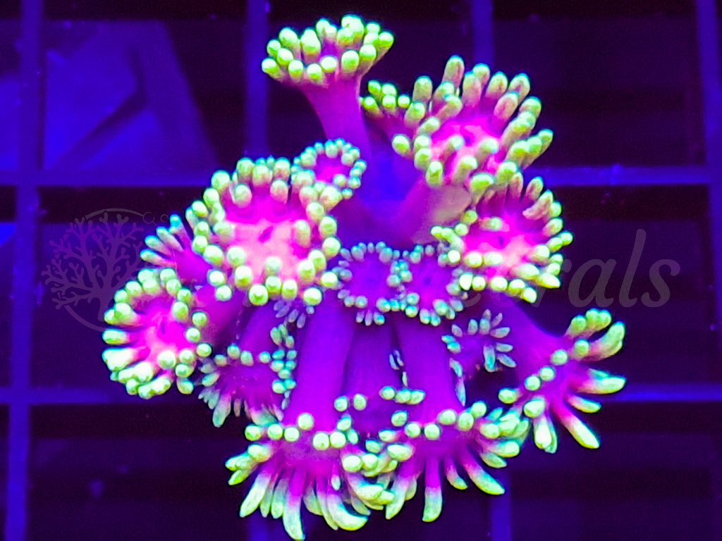 347430596 717013780435047 846897509152807822 n