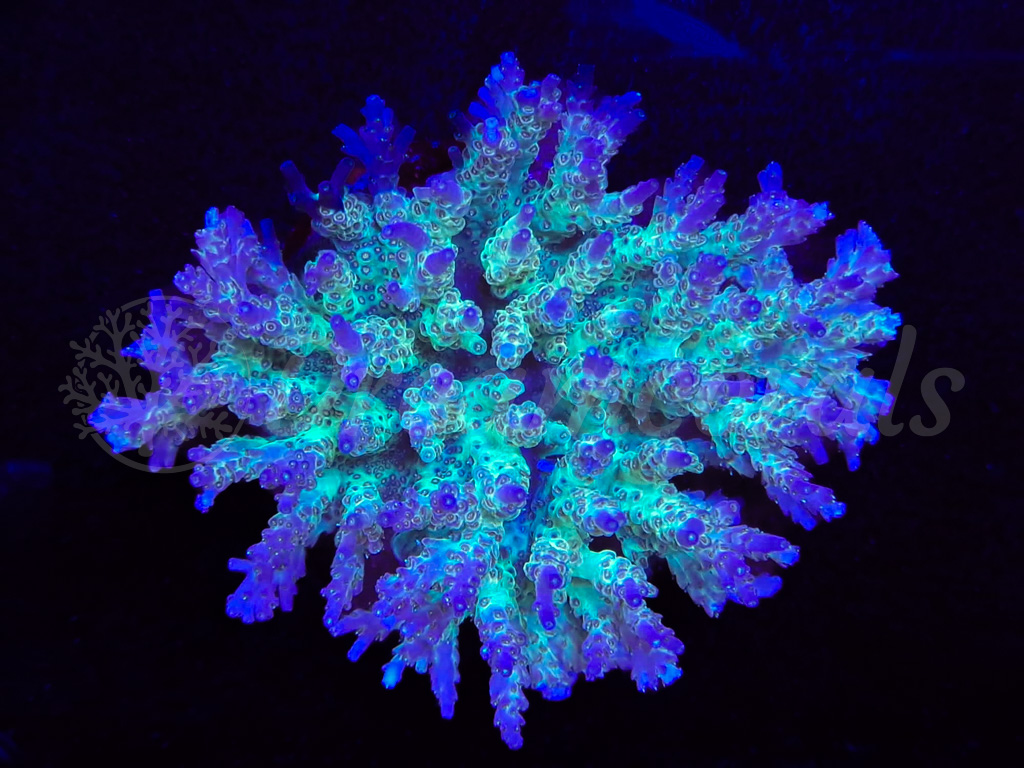 347586655 737373228399102 4011491271031060302 n