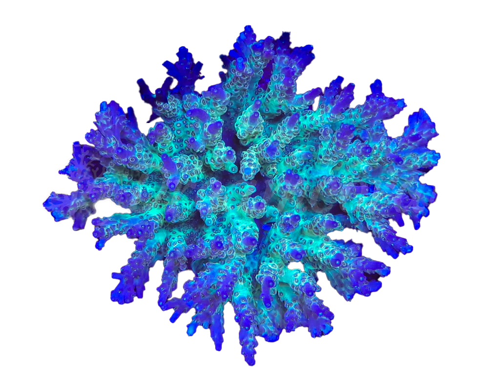 347586655 737373228399102 4011491271031060302 n