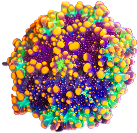 392882089 802028081933616 1296242792698736166 n