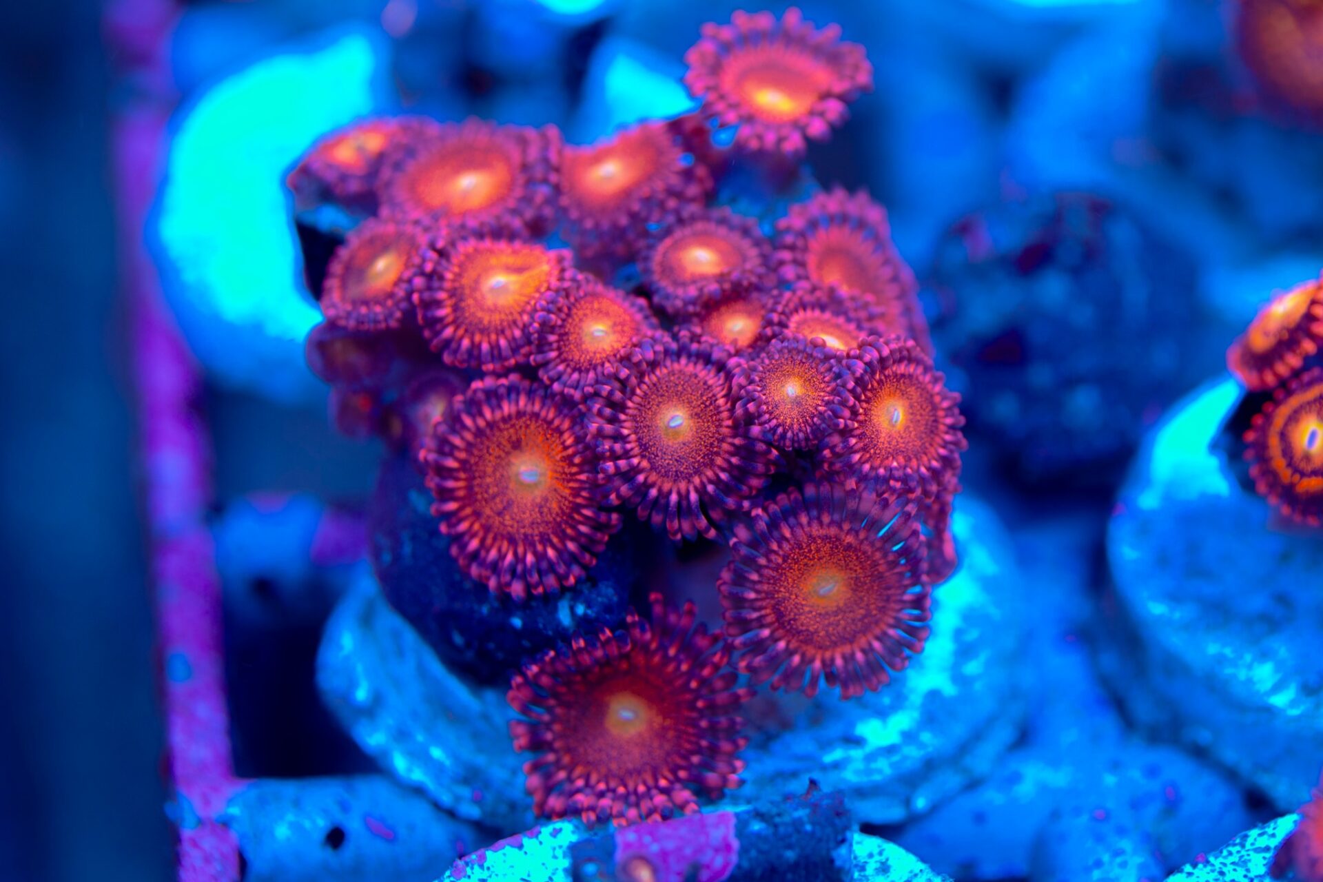 411514545 850338343769256 8350406120006710937 n