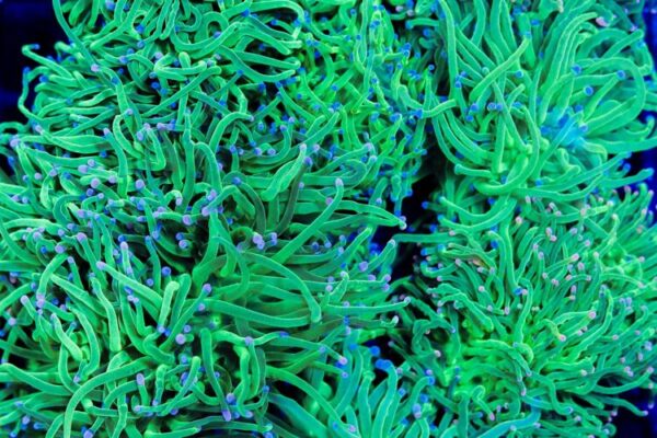 import placeholder for 2994996