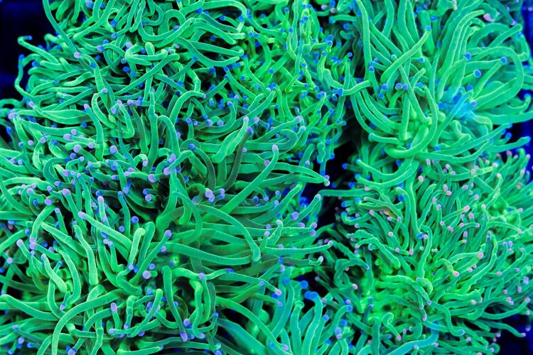 import placeholder for 2994996