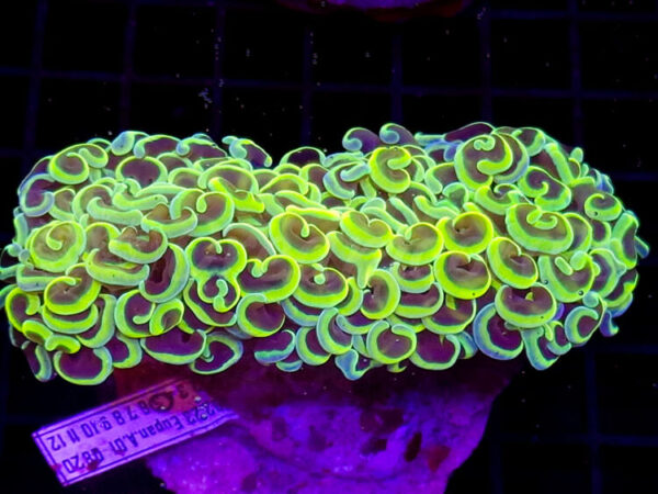 import placeholder for 2933873