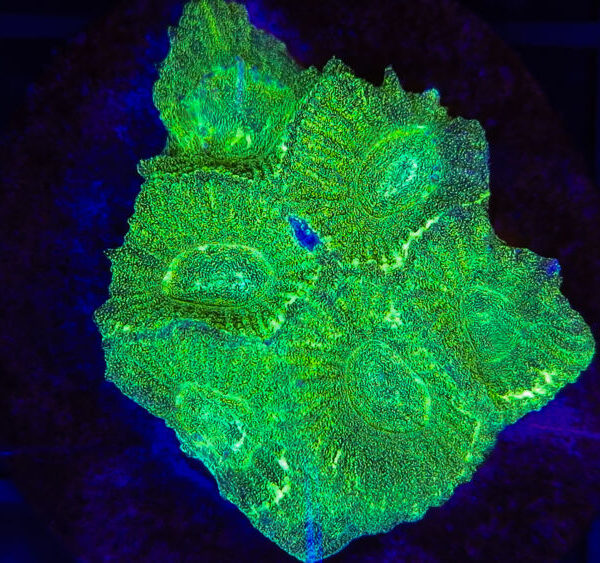 import placeholder for 2904078