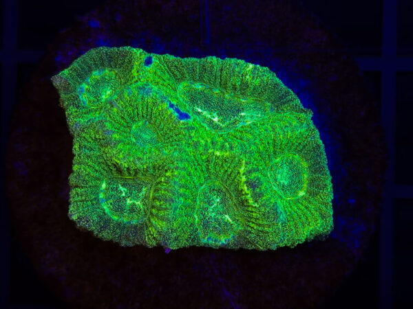 import placeholder for 2904077