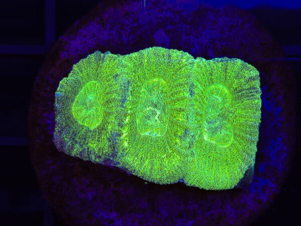 import placeholder for 2904076