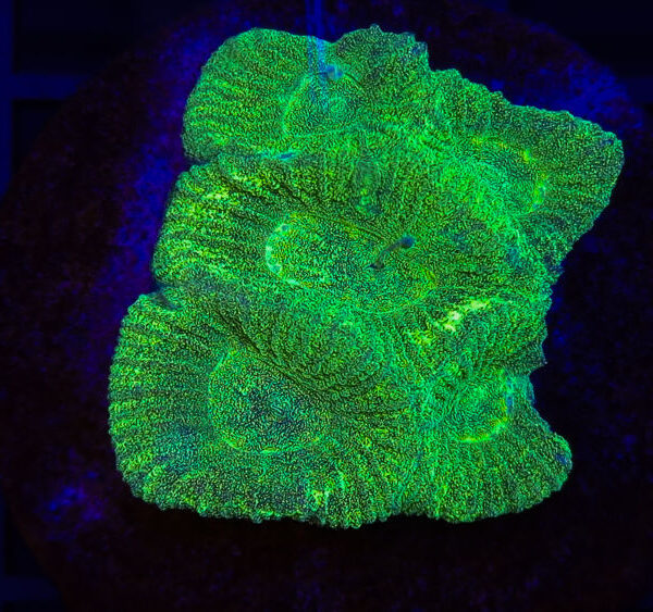 import placeholder for 2904075