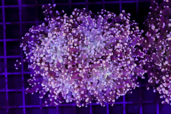 import placeholder for 3049028