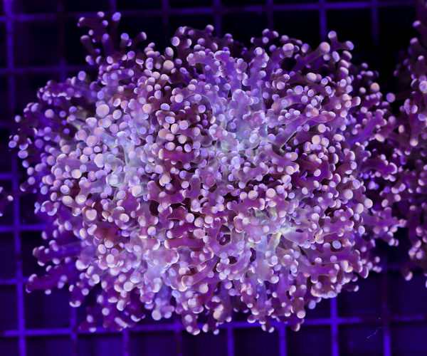 import placeholder for 3049028