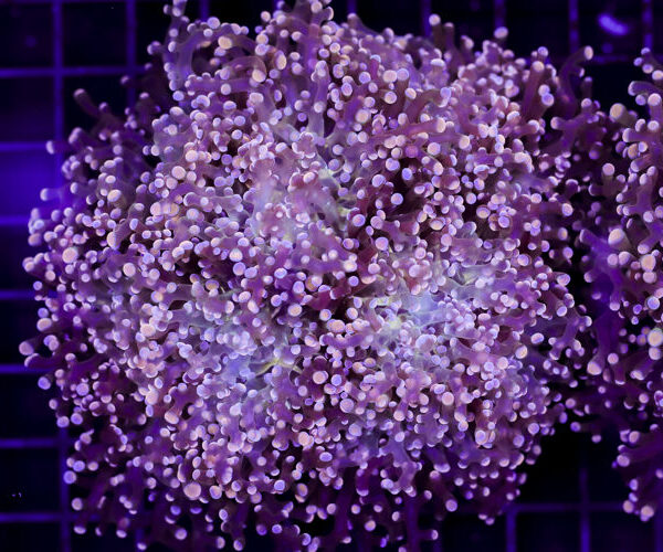 import placeholder for 3049026