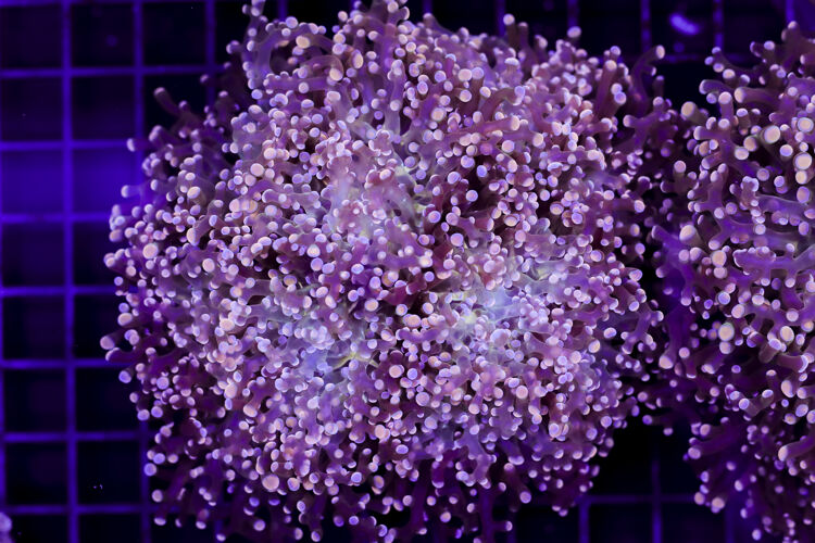 import placeholder for 3049026