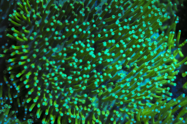 import placeholder for 3044271