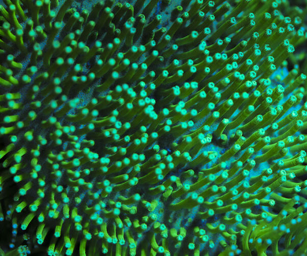 import placeholder for 3044271