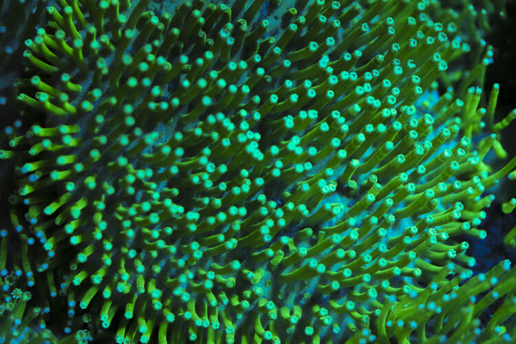 import placeholder for 3044271