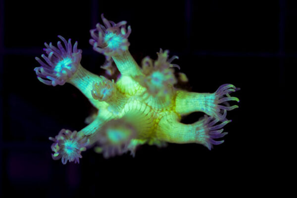 import placeholder for 2997225