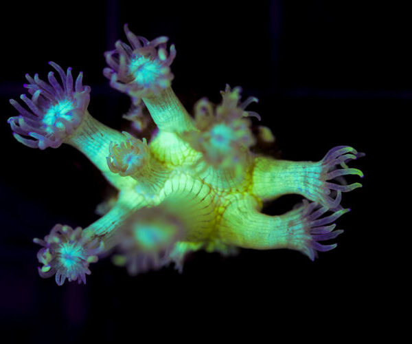 import placeholder for 2997225