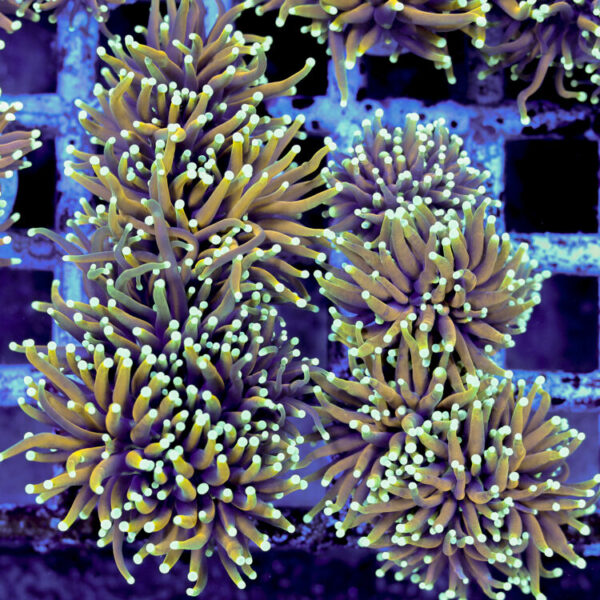 import placeholder for 2964914