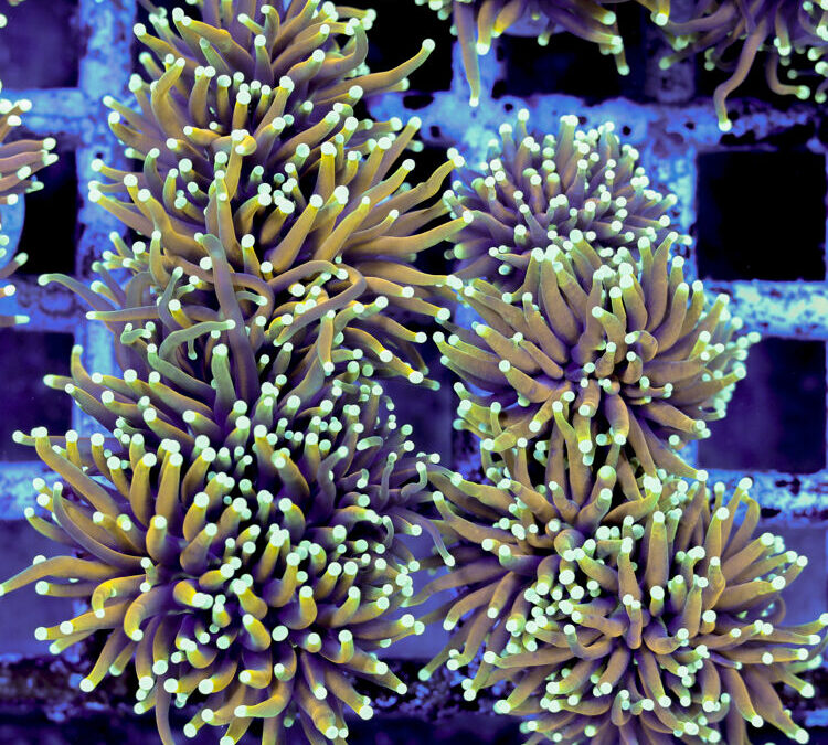 import placeholder for 2964914