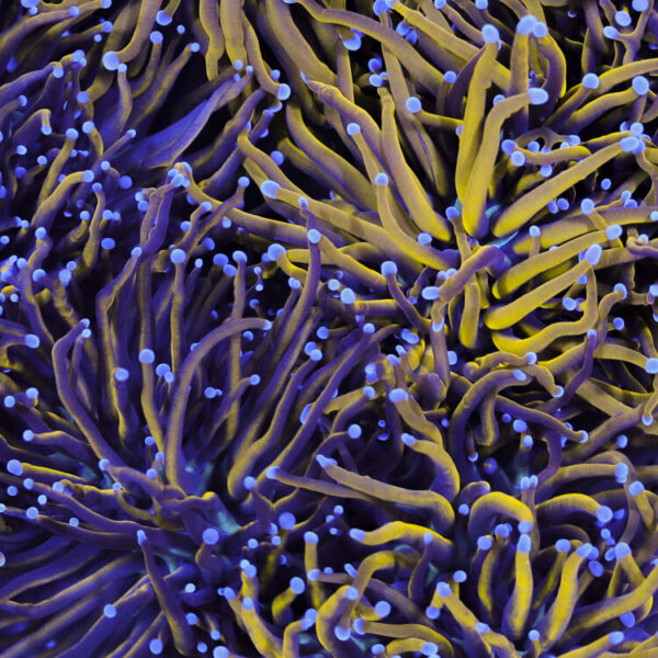 import placeholder for 2964913