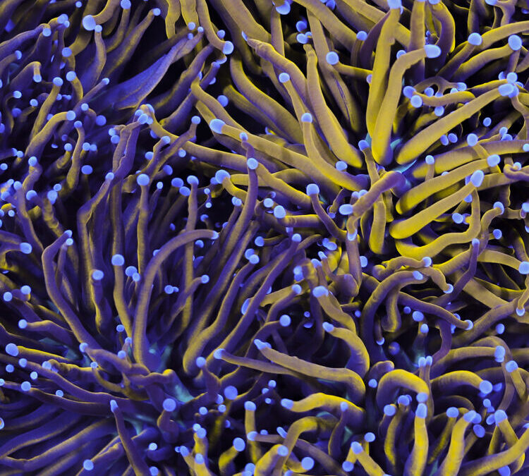 import placeholder for 2964913