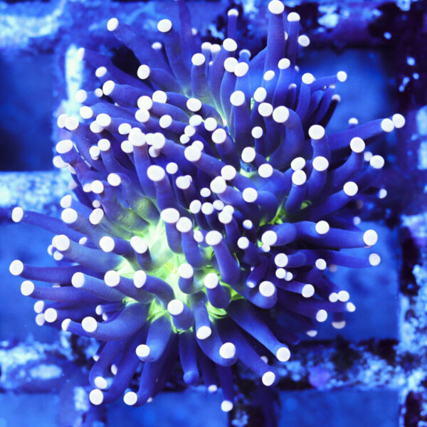 import placeholder for 2964910