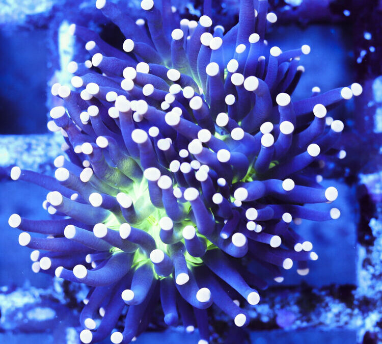 import placeholder for 2964910