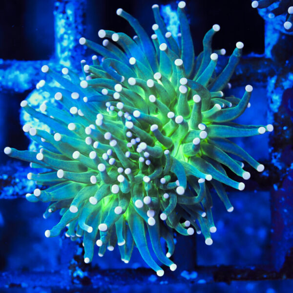 import placeholder for 2964909