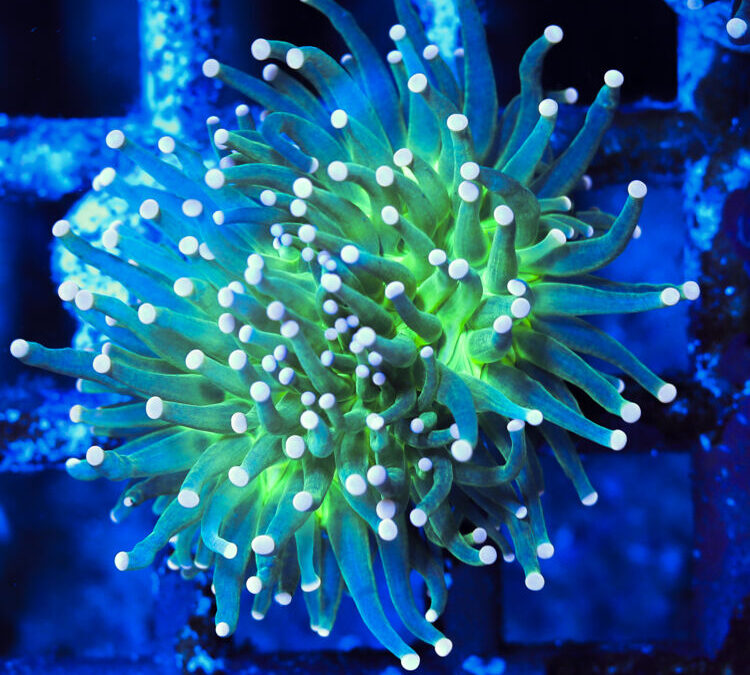 import placeholder for 2964909