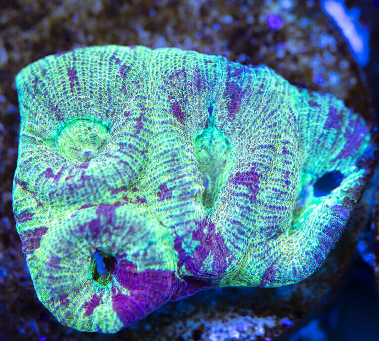 import placeholder for 2963891