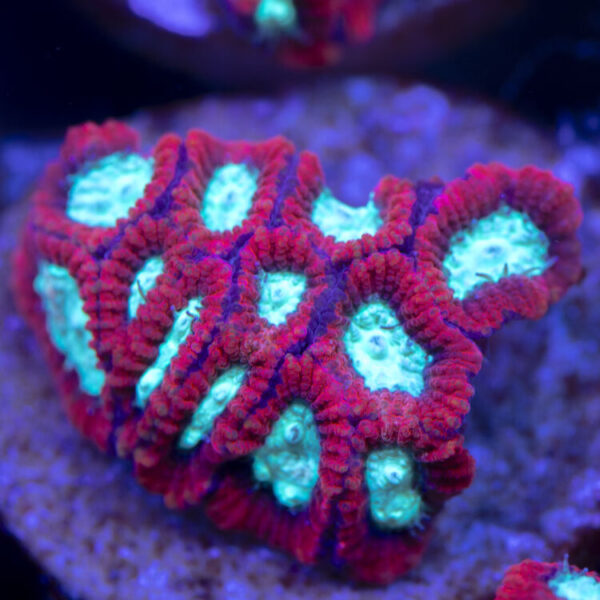 import placeholder for 2963871