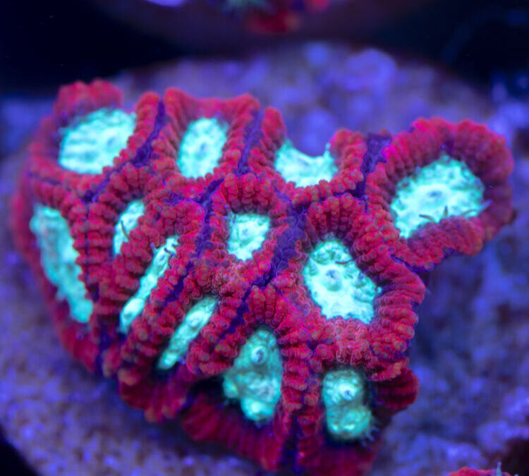 import placeholder for 2963871