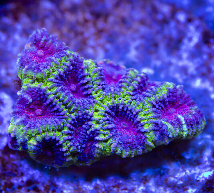 import placeholder for 2963867