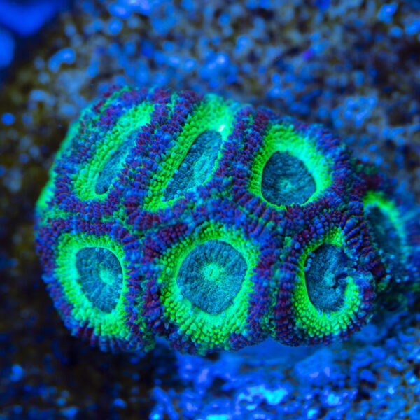 import placeholder for 2963860