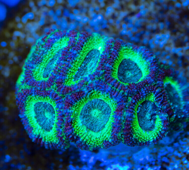 import placeholder for 2963860