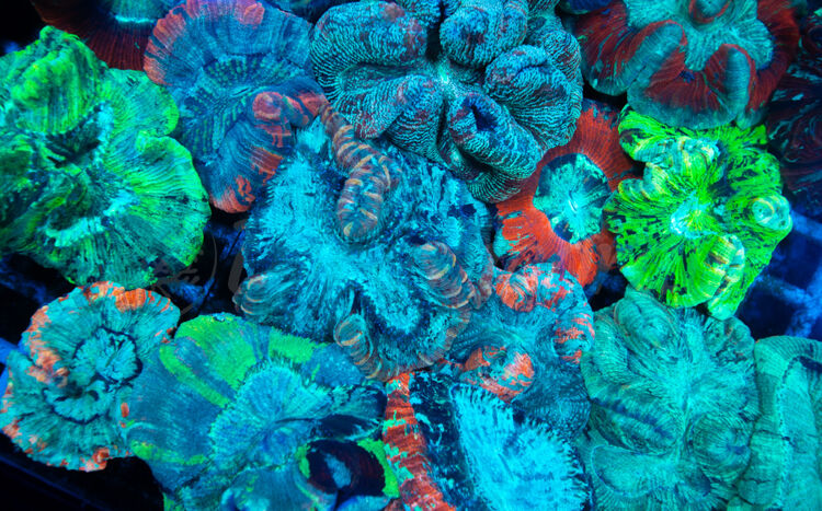 import placeholder for 2943990