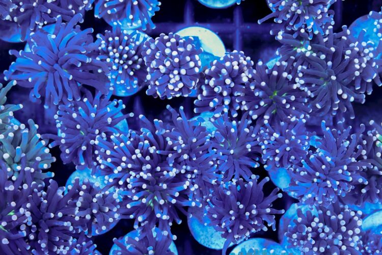 import placeholder for 2994994