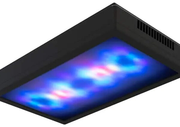 import placeholder for 2844509