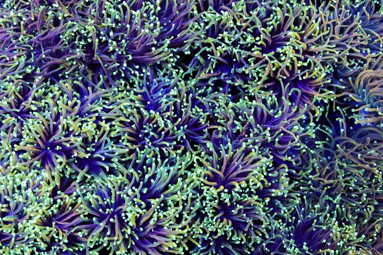 import placeholder for 2994992