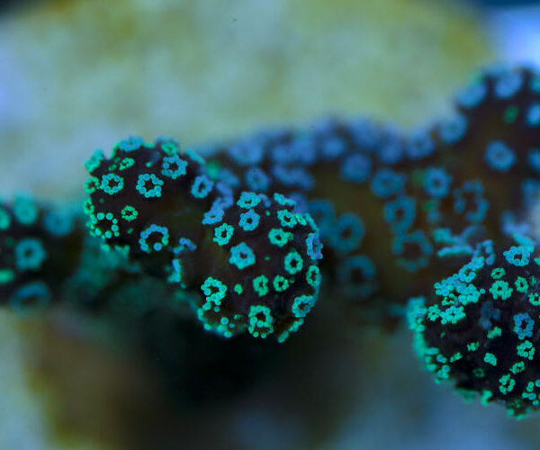 import placeholder for 3064441