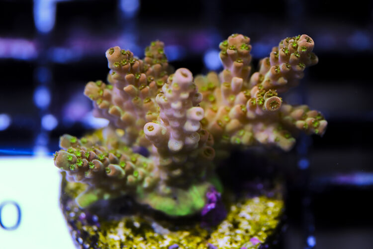 import placeholder for 3064436