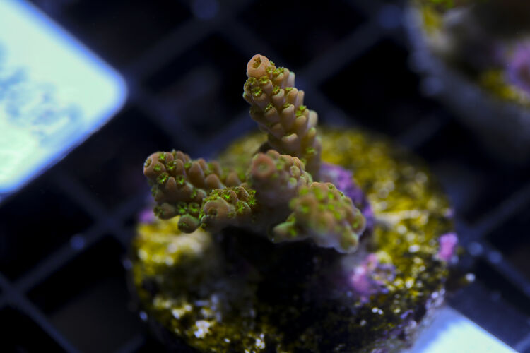 import placeholder for 3064434