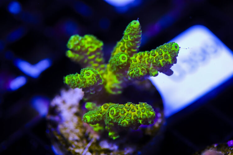 import placeholder for 3064433