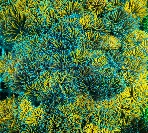 import placeholder for 2944063