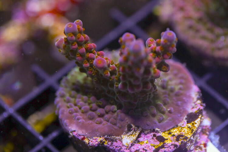 import placeholder for 3064427