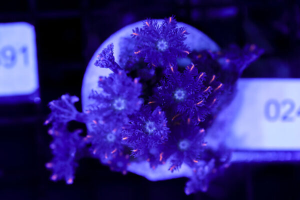 import placeholder for 3064424