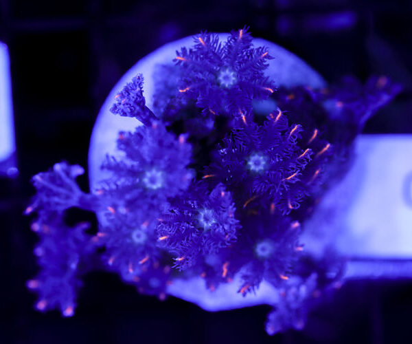 import placeholder for 3064424