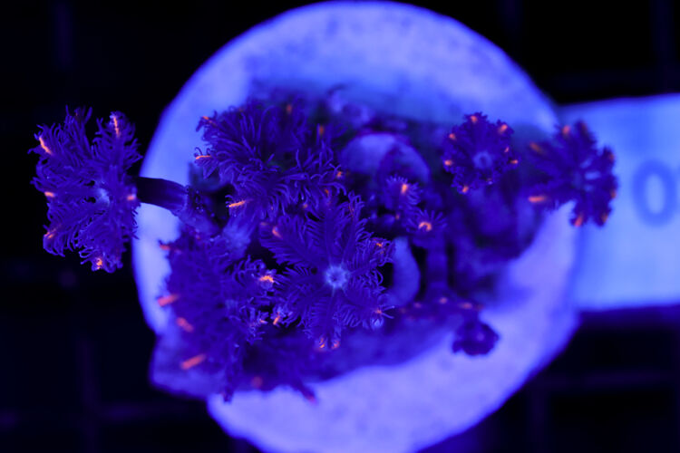 import placeholder for 3064423