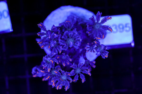 import placeholder for 3064422